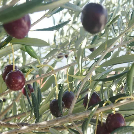 Luxury Mala * ポドゥゴラ