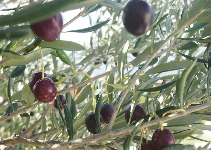 Luxury Mala * Podgora (Split-Dalmatia)